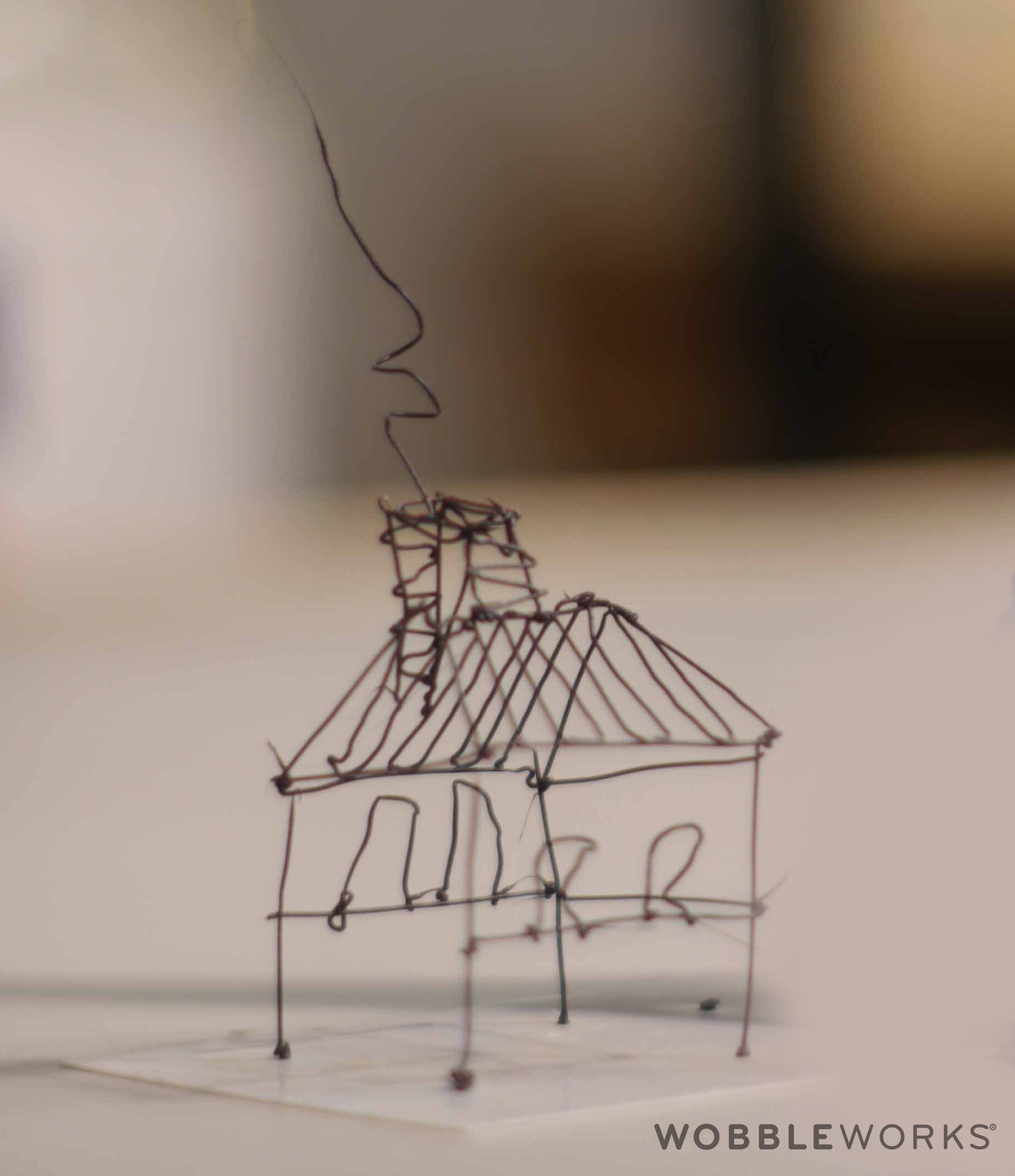 3Doodler House
